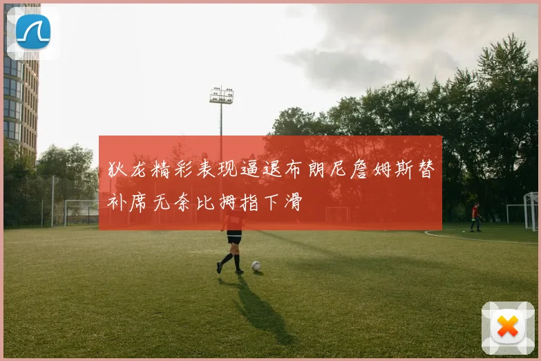 狄龙精彩表现逼退布朗尼詹姆斯替补席无奈比拇指下滑