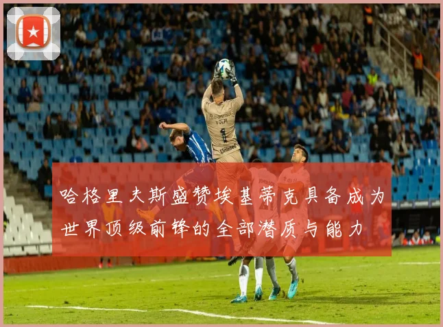 哈格里夫斯盛赞埃基蒂克具备成为世界顶级前锋的全部潜质与能力