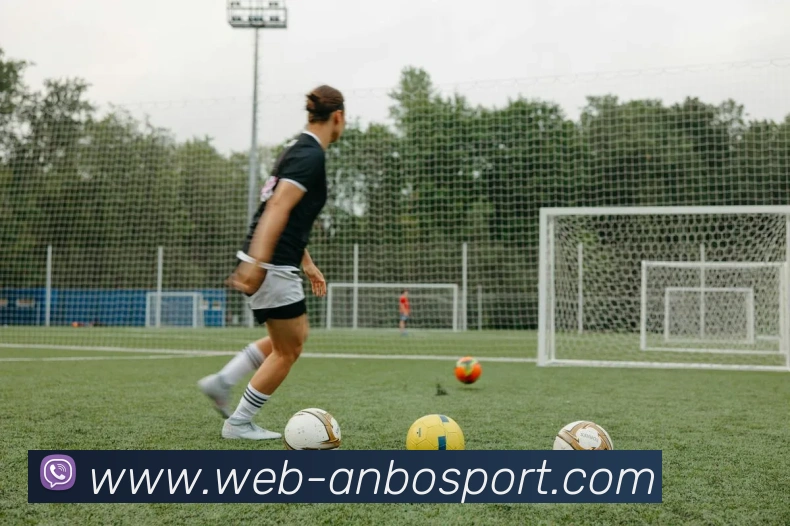 安博体育APP 封面图